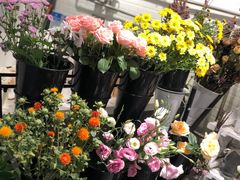 -之悦咖啡馆(新星宇·之洲店)