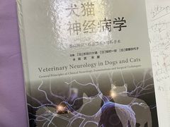-康成宠物医院24H·CT·核磁共振