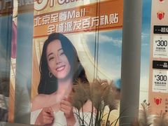 -红星美凯龙北京至尊MALL(东四环中路店)
