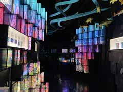 -同济大学四平路校区深海探索馆