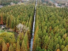 -东平国家森林公园