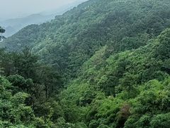 -缙云山景区