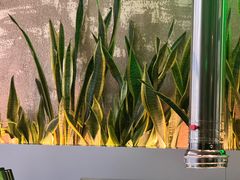 -范儿·嫂子烤肉·精致炭火烤肉(长治路店)