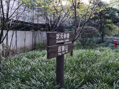 -汇龙潭