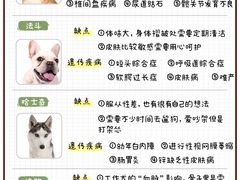 -FAELING PETS美天灵宠物(富力广场店)