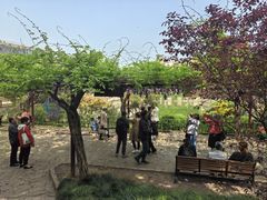 -嘉定紫藤园