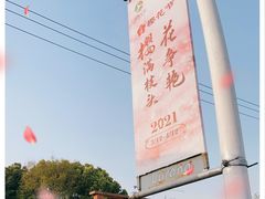 -顾村公园