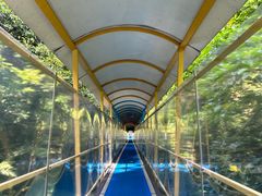 -七仙岭温泉国家森林公园