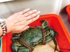 -龙海鲜螃蟹王(宏茂桥店)