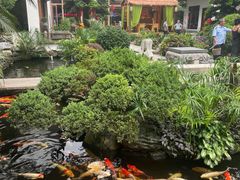 -聚福宝合苑食府(南头镇店)