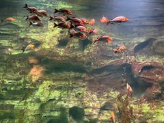 -珠海长隆海洋王国
