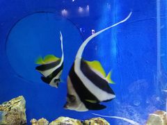 -福州罗源湾海洋世界旅游区