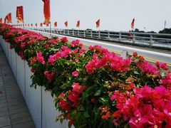 -厦门园林博览苑