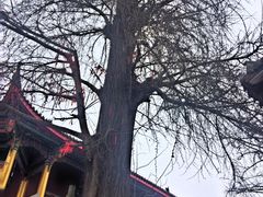 -金堂县云顶石城风景区