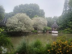 -上海醉白池公园