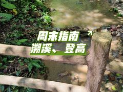 -火炉山森林公园