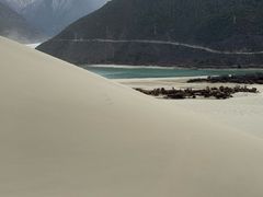 -佛掌沙丘