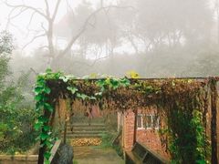 -青芝山风景名胜区