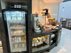 -虹桥机场国航贵宾室v8