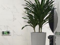 -森SPA·泰式按摩·精油Massage(宝安中心店)