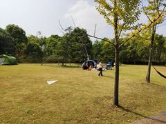 -吴淞炮台湾湿地森林公园烧烤区