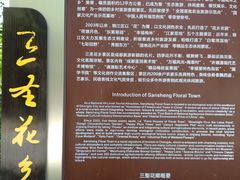 -三圣花乡旅游区