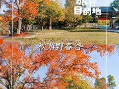 -黄陂区野村谷景区