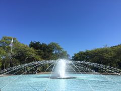 -安大略湖