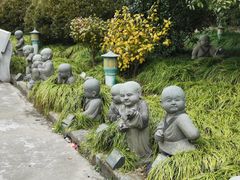 -上海青龙寺