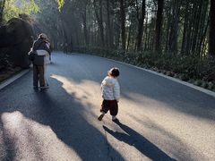 -杭州野生动物世界