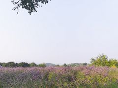 -密云玫瑰情园