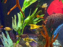 -沈阳海洋探索中心