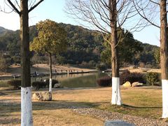 -龙寺生态园