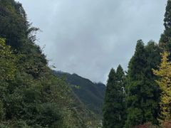 -娄山关景区