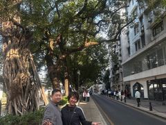 -荔湾湖公园