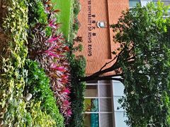 -香港大学