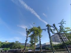 -浙江大学附属中学(丁兰校区)