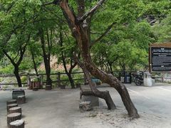 -黑河国家森林公园