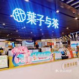 好喝不踩雷！夏日必喝茶饮！