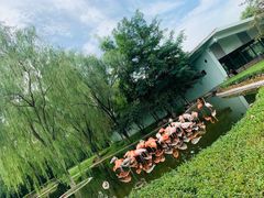 -石家庄市动物园