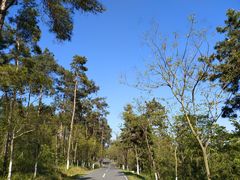 -南京金牛湖风景区