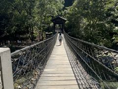 -石台牯牛降景区