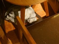 -H立方实景剧情密室(天河旗舰店)
