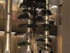 -外滩·云南人家(昆明旗舰店)