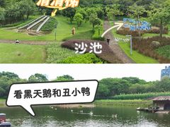 -顺峰山公园