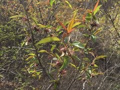 -碓臼峪自然风景区