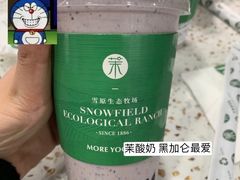 -茉酸奶(春熙路店)