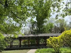 -晋祠公园