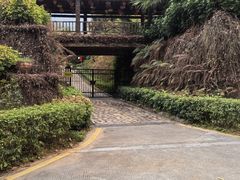 -韶关经律论国际酒店温泉