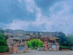 -上海海湾国家森林公园